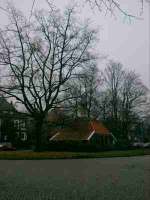 nov_ping